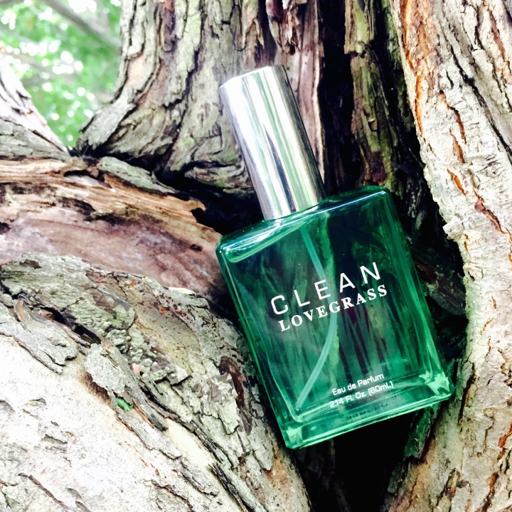 New From CLEAN - Lovegrass - Fragrance